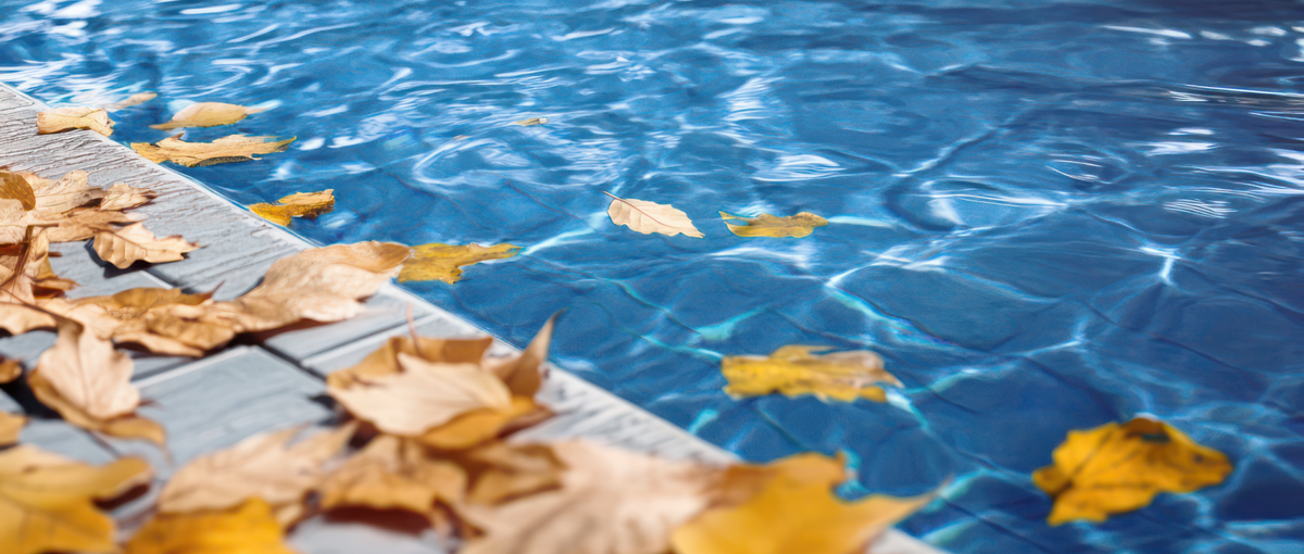 5 Essential Pool Care Ownership Tips for Windy Conditions