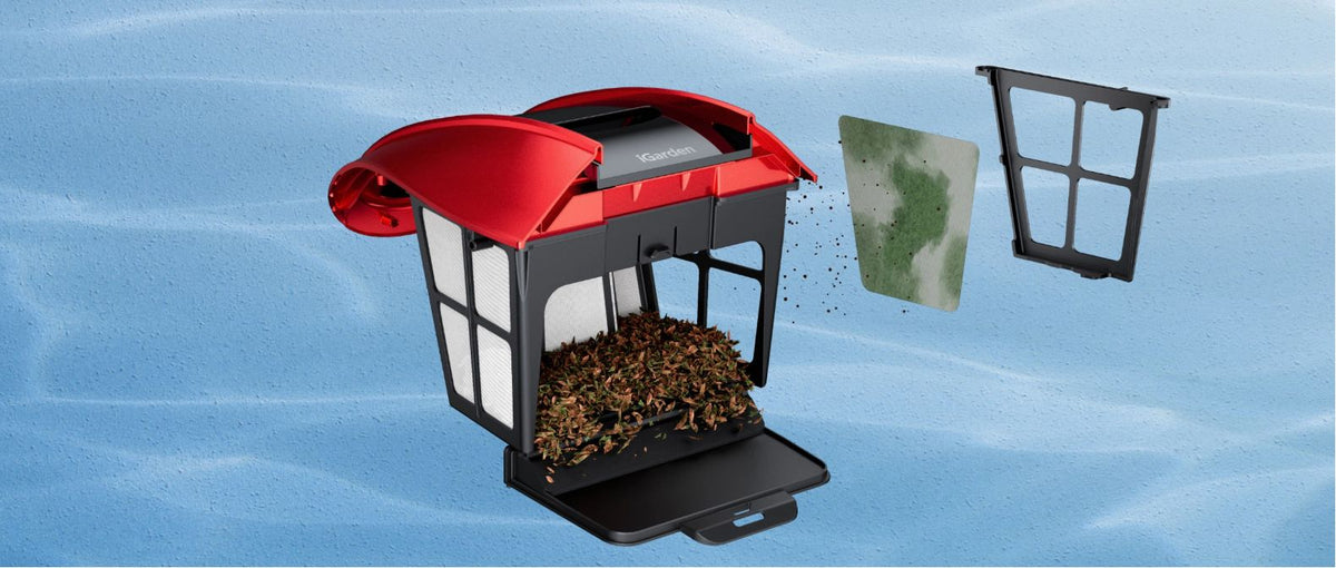 How the Pool Cleaning Robot's Advanced Filtration System Successfully Minimizes Water Allergens