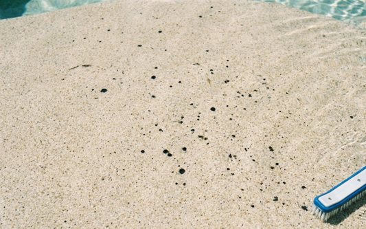 Black Spots In Pool Not Algae: What They Are, Why They Happen, And How To Fix Them