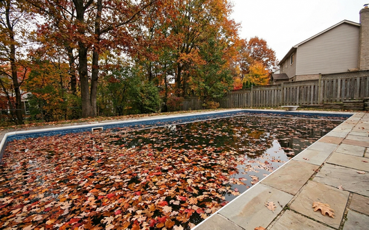 Best iGarden Pool Cleaner for Leaves and Daily Debris