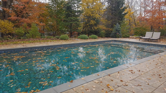 Do Pool Robots Work Better Than Skimmers During Fall Leaf Season?