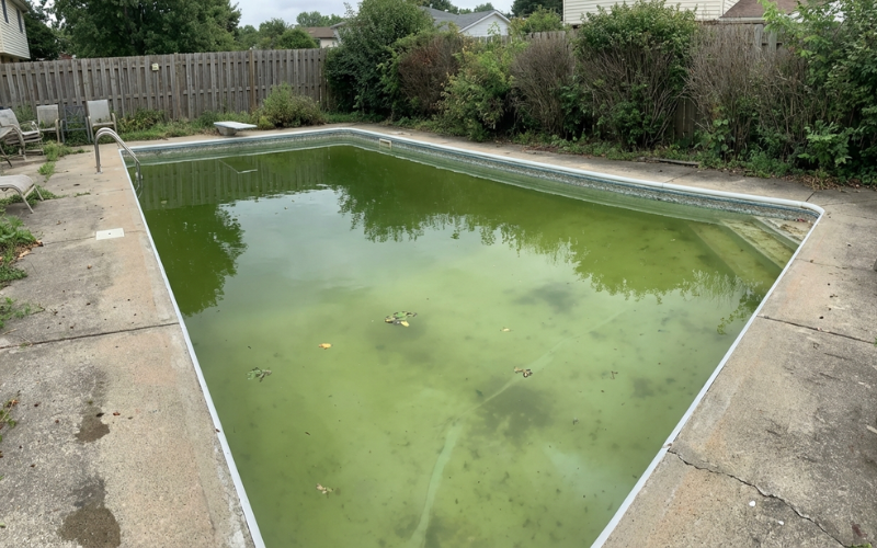 Green and cloudy swimming pool water caused by algae growth