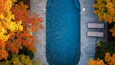 Fall Pool Maintenance CT: Stop Leaves From Ruining Your Pool
