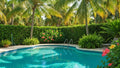 Florida Pool Maintenance: Beat Pollen & Debris Year-Round