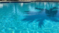 Florida Heat Pool Equipment Damage: 7 Critical Solutions