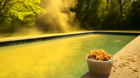 Massachusetts Pool Pollen Season: Beat Spring's Biggest Challenge