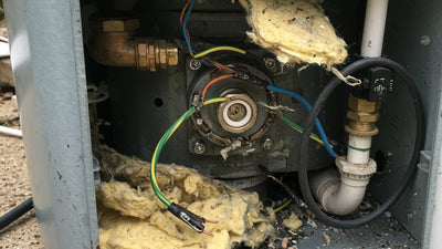 Pool Rodent Damage: Save Thousands on CT Equipment Repairs