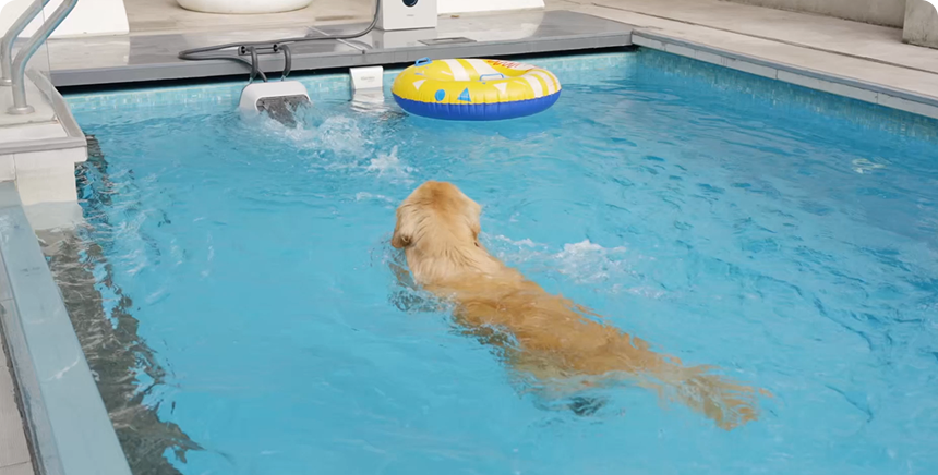 Standard Family Pool <br><span>(1,000–2,200 sq. ft. / approx. 90–200 m²)</span>