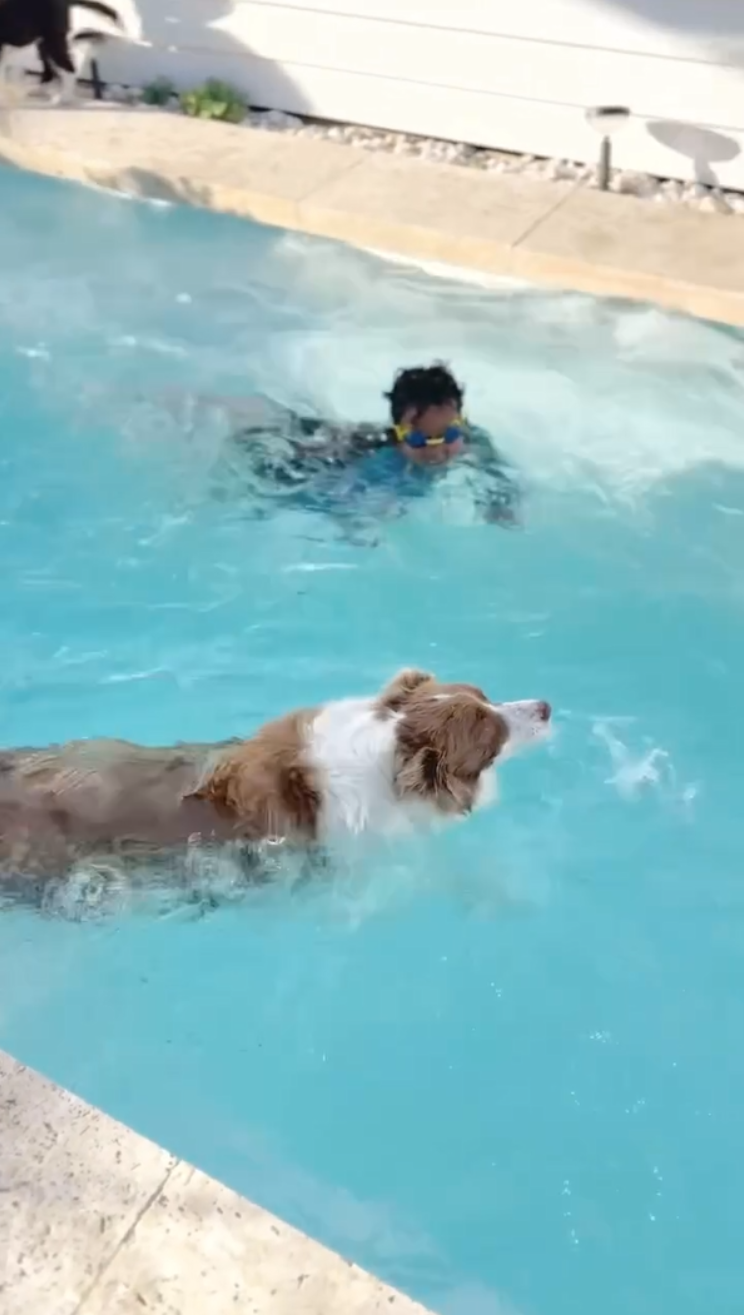 ourcountrycoastalhome